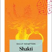 Shakti sinussa